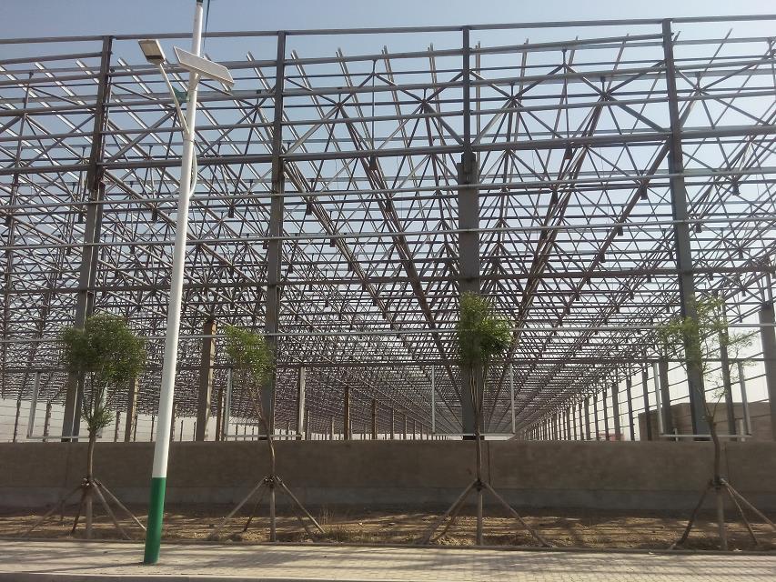 阿克苏汽车工业厂房网架